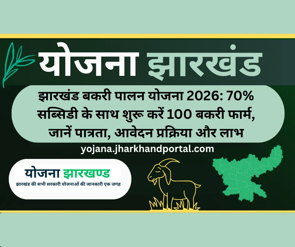 झारखंड बकरी पालन योजना 2026: 70% सब्सिडी के साथ शुरू करें 100 बकरी फार्म, जानें पात्रता, आवेदन प्रक्रिया और लाभ